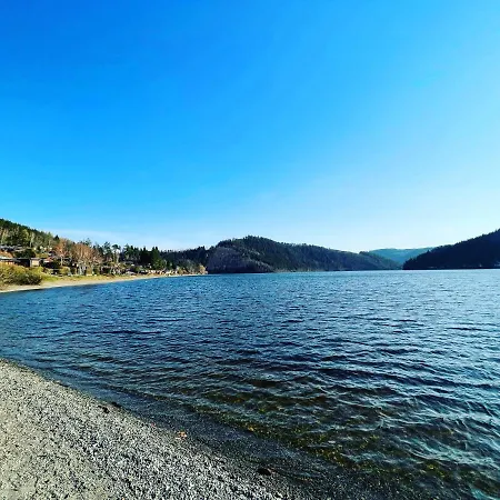 Apartamento Ar Ii I 5 Pers I Prime I Kueche I Wlan I Am Thueringer Unterwellenborn